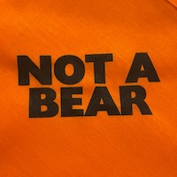 Not a Bear