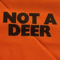 Not a Deer